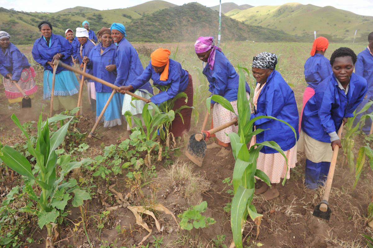 Protecting the rights and wellbeing of South African workers Vuk